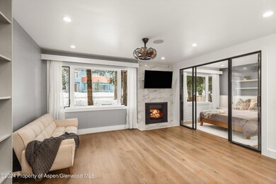 790 W Hallam St unit 2, Aspen, CO 81611 - photo 6