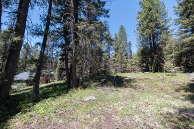 1082 Northview Dr unit 28, McCall, ID 83638 - photo 3