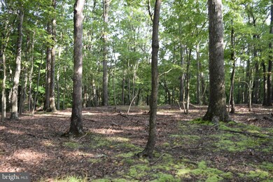 0 Pioneer Trail unit WVMO2003510, Great Cacapon, WV 25422 - photo 2