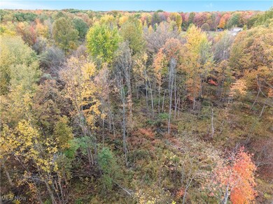 40 Bradley Brownlee Rd, Cortland, OH 44410 - photo 5