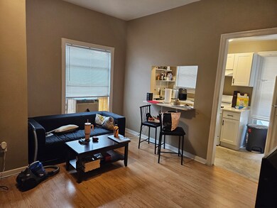 255 N Spring St unit 4, Elgin, IL 60120 - photo 4