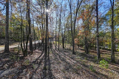 9498 US Highway 176, Pomaria, SC 29126 - photo 6