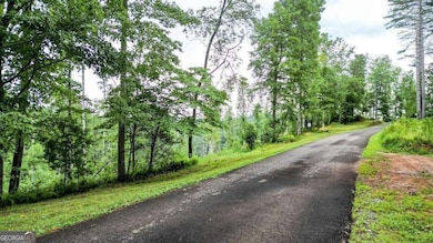 1267 Hicks Ford Rd, Ellijay, GA 30540 - photo 4