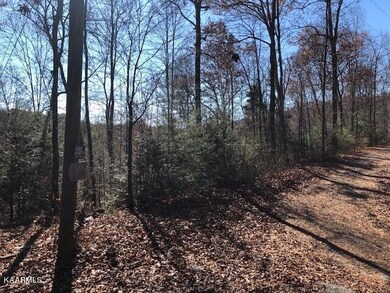 Lot 11 Joshua Way - View of Lot from Dr