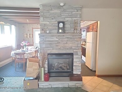 Liv Rm Fireplace