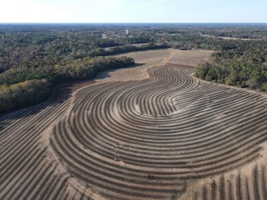 19800 Tervin Mill Rd, Andalusia, AL 36421 - photo 5