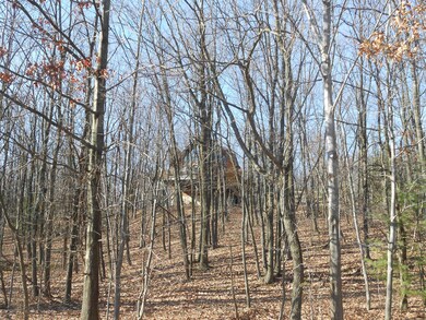 134 Wilson Ct, Saylorsburg, PA 18353 - photo 5