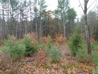 50 Nash Corner Rd, Gilsum, NH 03448 - photo 5