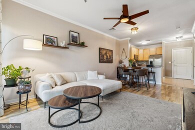 8045 Newell St unit 419, Silver Spring, MD 20910 - photo 6