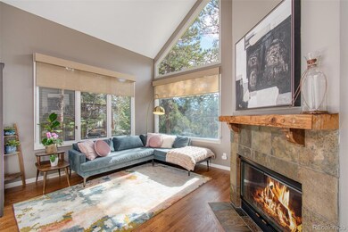 29972 Troutdale Ridge Rd, Evergreen, CO 80439 - photo 4