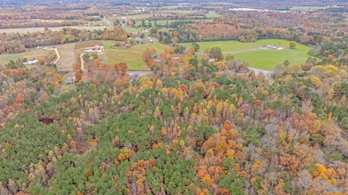 18 acres County Road 359, Pisgah, AL 35765 - photo 7