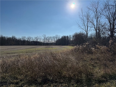 0 Lynch Rd unit R1653187, Murray, NY 14470 - photo 6