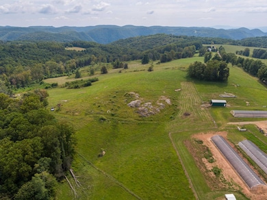 49 Pinnacle Ln, Meadows of Dan, VA 24120 - photo 6