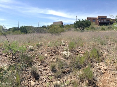 View of lot from Hidden Hollow