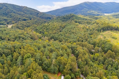 01-LOT 0 Willow Branch Rd_01