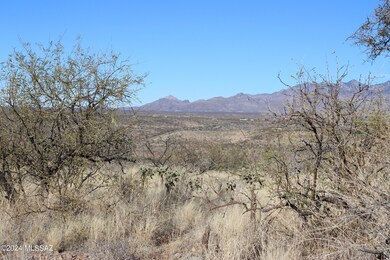 IMG_0549
