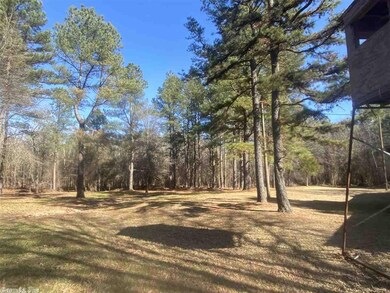 15556 Chula Rd, Plainview, AR 72857 - photo 4