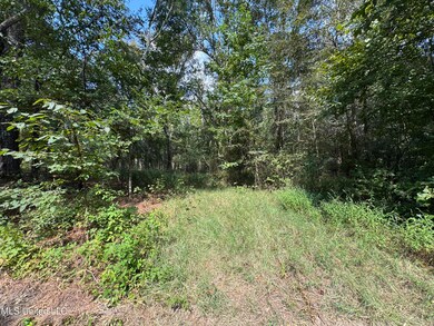 0001 Old Dover Rd, Yazoo City, MS 39194 - photo 7