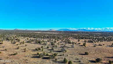 dji_fly_20250117_160144_0035_17372201529