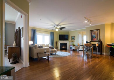 24636 Woolly Mammoth Terrace unit 200, Aldie, VA 20105 - photo 3