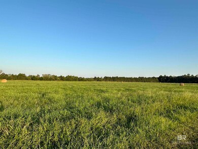 0 County Road 26 unit 1 373150, Elberta, AL 36530 - photo 4