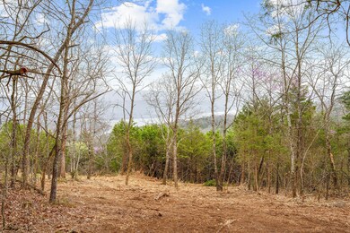 Cleared Area
