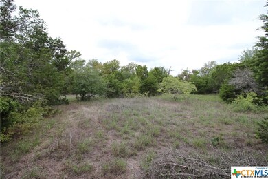 TBD Cowan Rd, Moody, TX 76557 - photo 4