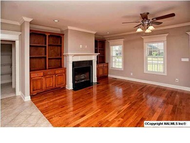 Built in shelving around fireplace