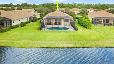 Aerial Backyard