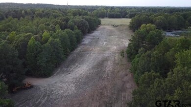 TBD Tbd Cr 233, Arp, TX 75750 - photo 4