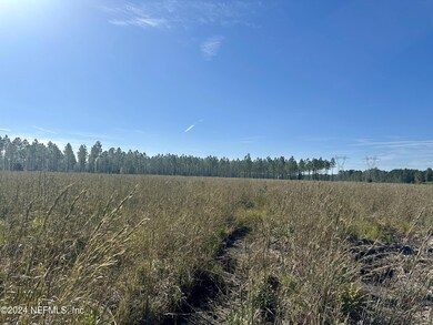 IMG_6822