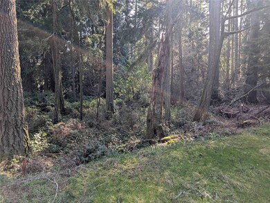 10325 Totem Way, Anderson Island, WA 98303 - photo 4