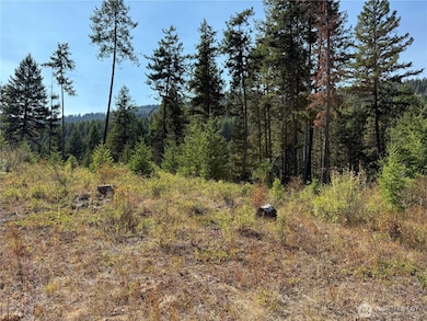 0 St Peter's Creek Rd unit NWM2456624, Malo, WA 99150 - photo 4