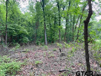 23526 Fm 1995, Lindale, TX 75771 - photo 3