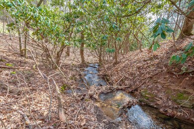 TBDLOT9 N Sunset Ln, Bland, VA 24315 - photo 4