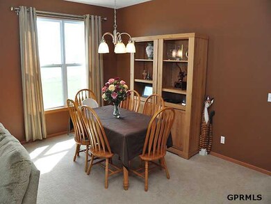 2418 S Mineral Dr, Papillion, NE 68046 - photo 5