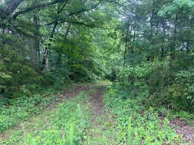 View of tree filled area