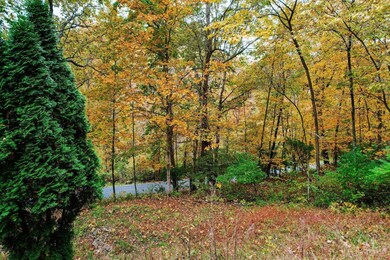 6031 Big Run Rd, Georgetown, OH 45121 - photo 5