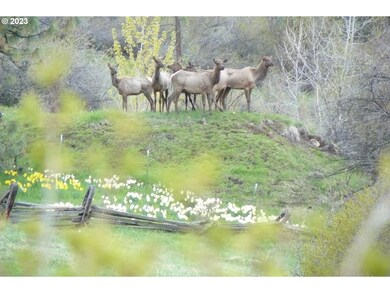 35901 Valley View Ln, Halfway, OR 97834 - photo 5