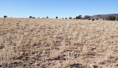 38 Outback Rd, Ash Fork, AZ 86320 - photo 6