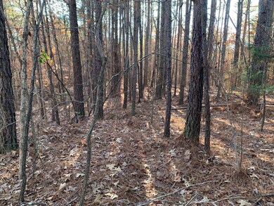 11 Warren Floyd Rd, Selmer, TN 38375 - photo 4