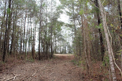 100AC County Highway 183, Ponce de Leon, FL 32455 - photo 7