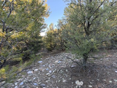 TBD Talavera Lot: 7-B2, Tierra Amarilla, NM 87575 - photo 4