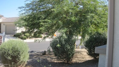 Mature Landscaping