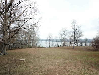 602 Raum Park Dr, Golconda, IL 62938 - photo 3