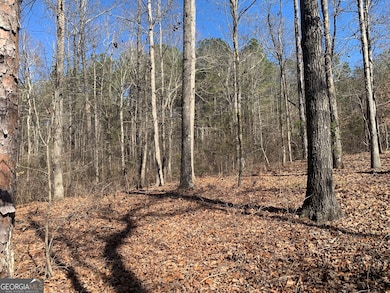0 Veterans Dr unit 10462428, Danielsville, GA 30633 - photo 3