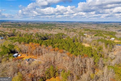 3681 Luther Adams Rd NW, Monroe, GA 30656 - photo 4