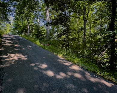 Roadside_Western View