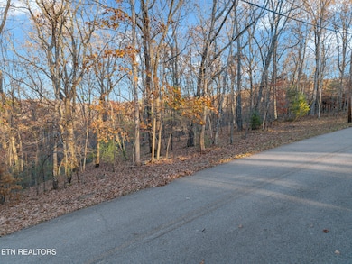 141 & 143 Havenridge Cir, Fairfield Glade, TN 38558 - photo 5