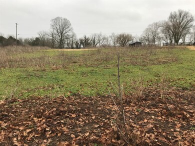 220 Grows Mill Rd, Wilmore, KY 40390 - photo 3